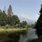 JACKASS MEADOW (recgovnpsdata)