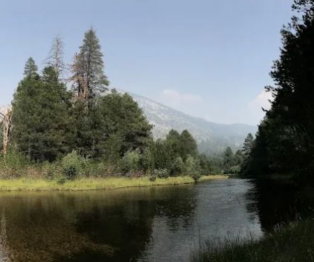 JACKASS MEADOW (recgovnpsdata)