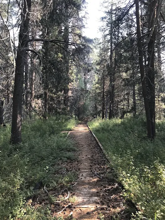 JACKASS MEADOW (recgovnpsdata) Picture 2