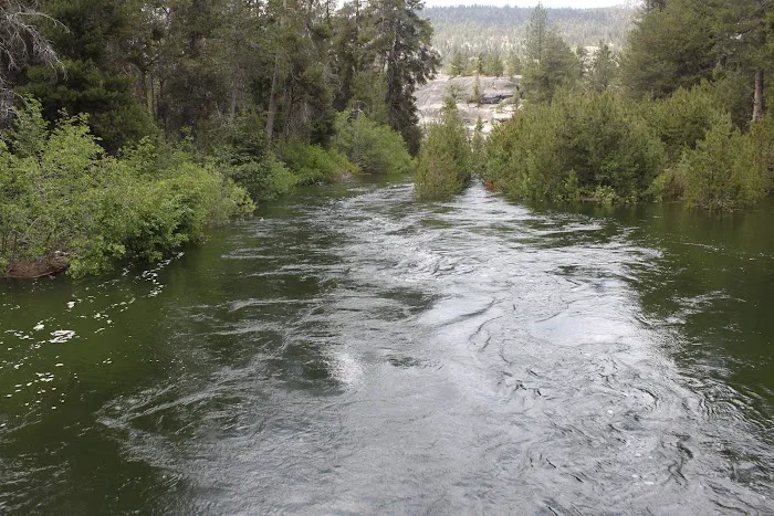 JACKASS MEADOW (recgovnpsdata) Picture 5