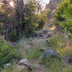 Kings River Trailhead (recgovnpsdata)