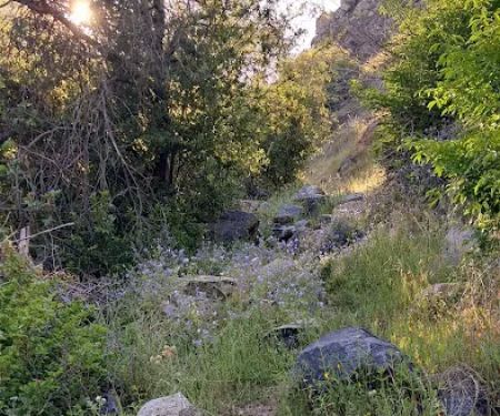 Kings River Trailhead (recgovnpsdata)