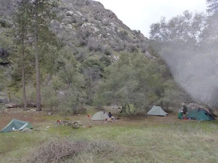 2nd Pines Campsite Picture 1