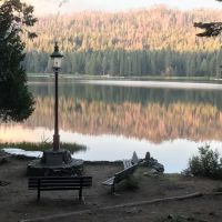 Sequoia Village ico