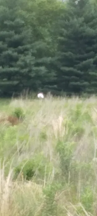 Frederick Lodge Manufactured Home Community Picture 4