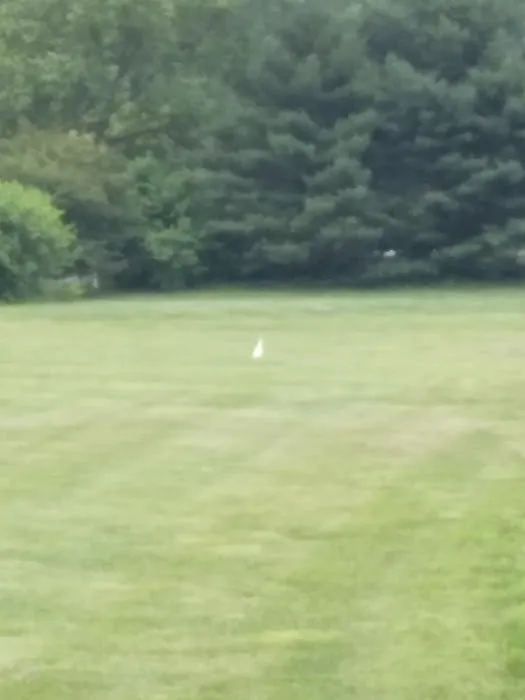 Frederick Lodge Manufactured Home Community Picture 6