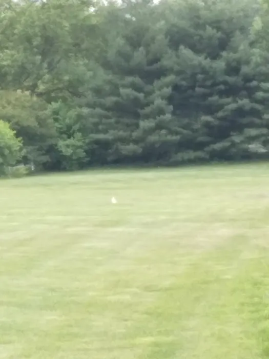 Frederick Lodge Manufactured Home Community Picture 5