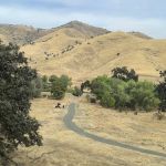 The Mountain Chapel Campground