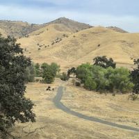 The Mountain Chapel Campground ico