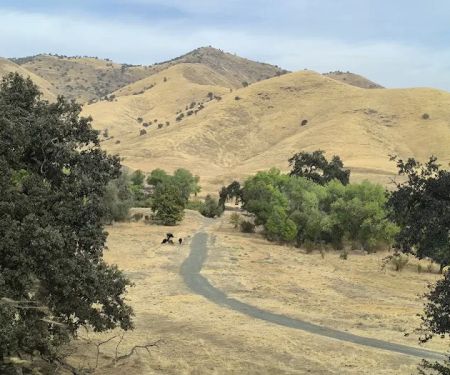 The Mountain Chapel Campground