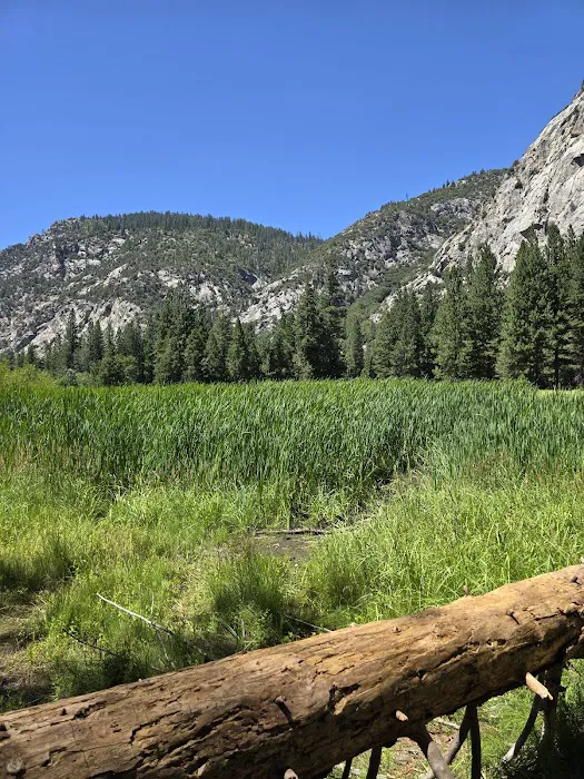 King's Canyon National Park Azalea Campground Picture 4