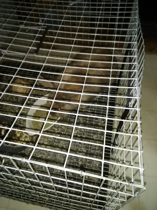 Clayton Court Mobile Home Comm Picture 8