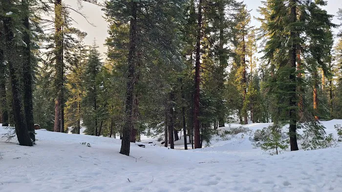 Azalea Campground Picture 6
