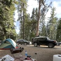 Azalea Campground ico