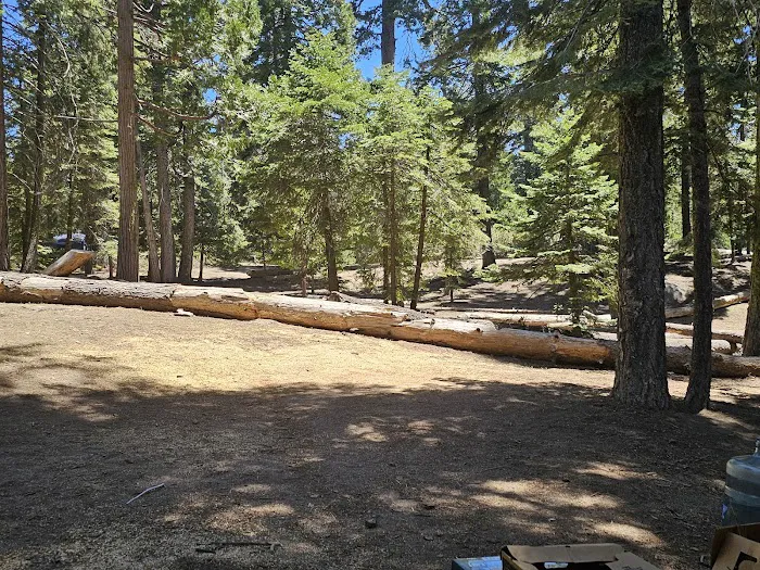 Azalea Campground Picture 4
