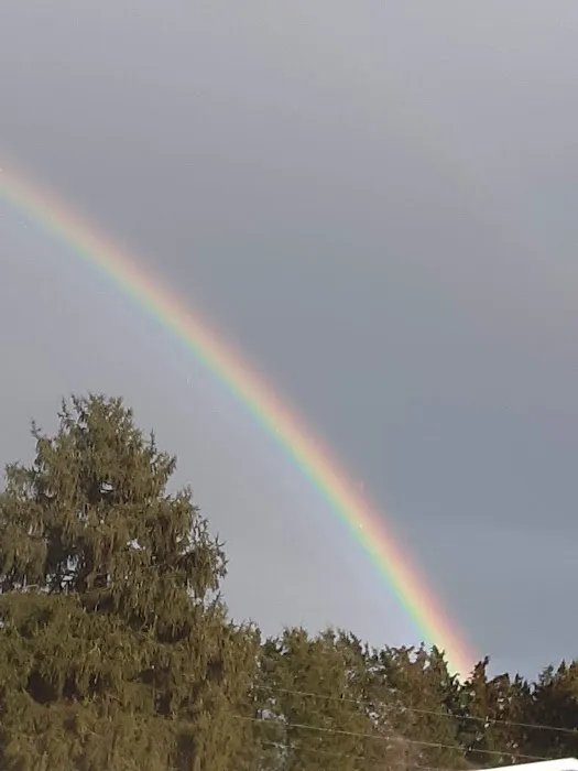 Holly Hill Estates Picture 3