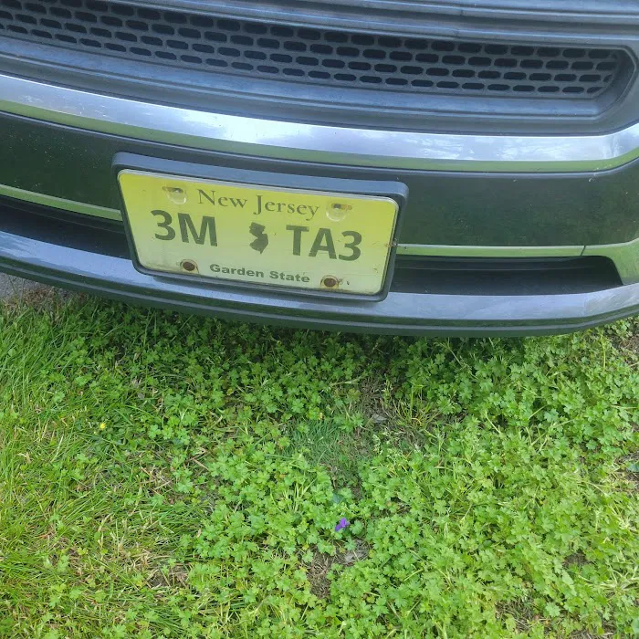 Holly Hill Estates Picture 6