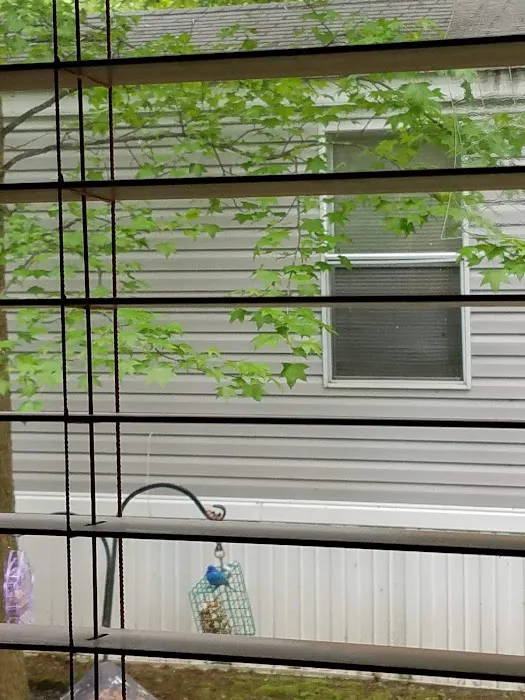 Holly Hill Estates Picture 10