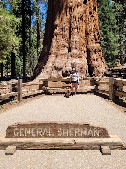 Sunset Campground Picture 2