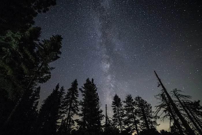 Sunset Campground Picture 9