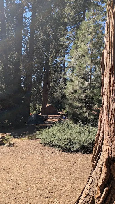 Crystal Springs Campground Picture 2