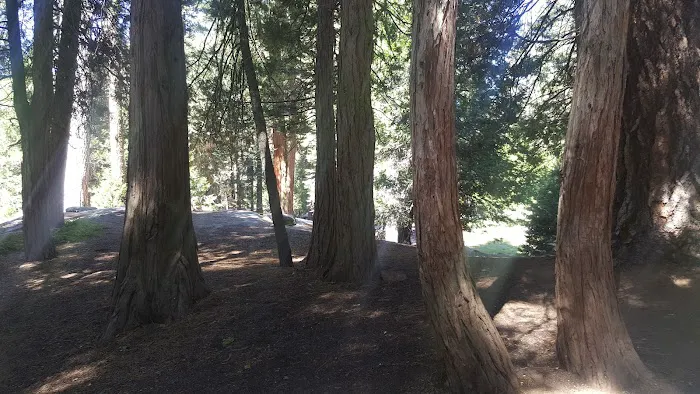 Crystal Springs Campground Mid-Sized Group Sites Picture 9