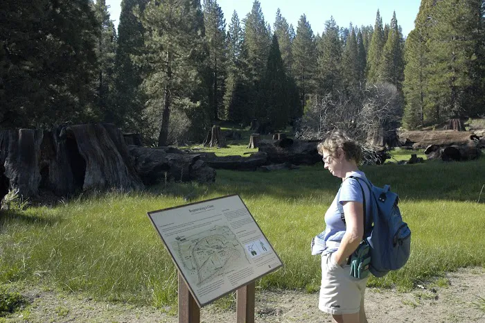 Converse Basin Grove Picture 4