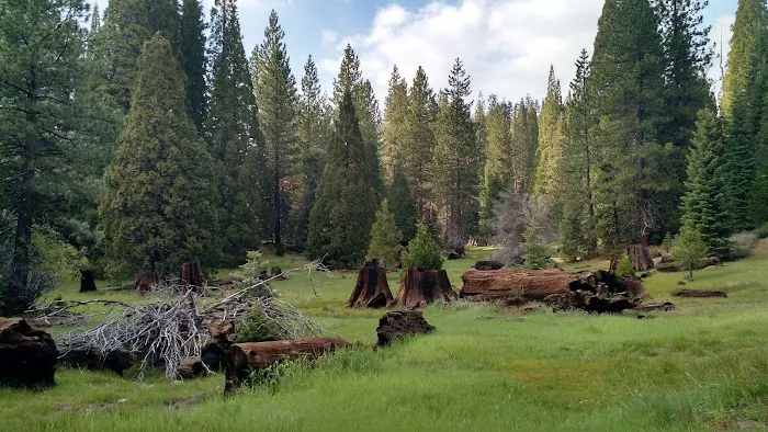 Converse Basin Grove Picture 5