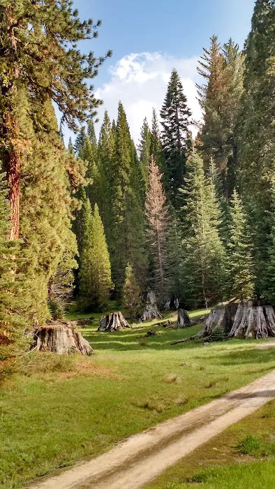 Converse Basin Grove Picture 7