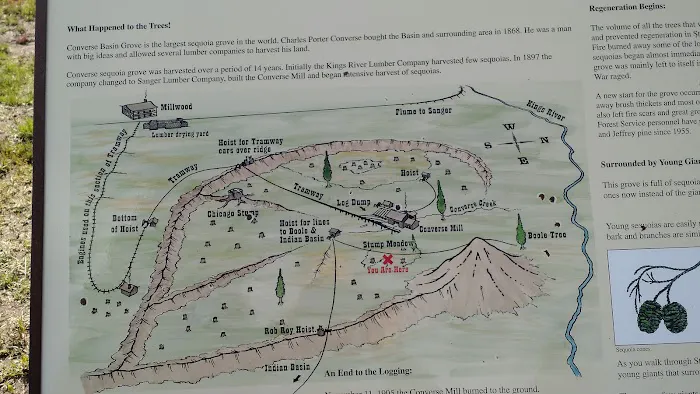 Converse Basin Grove Picture 10