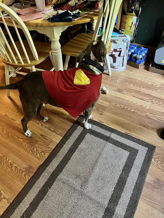 Forest Grove Mobile Home Park Picture 1