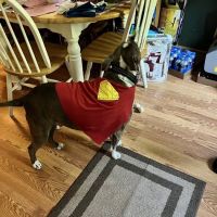 Forest Grove Mobile Home Park ico