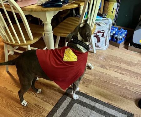 Forest Grove Mobile Home Park