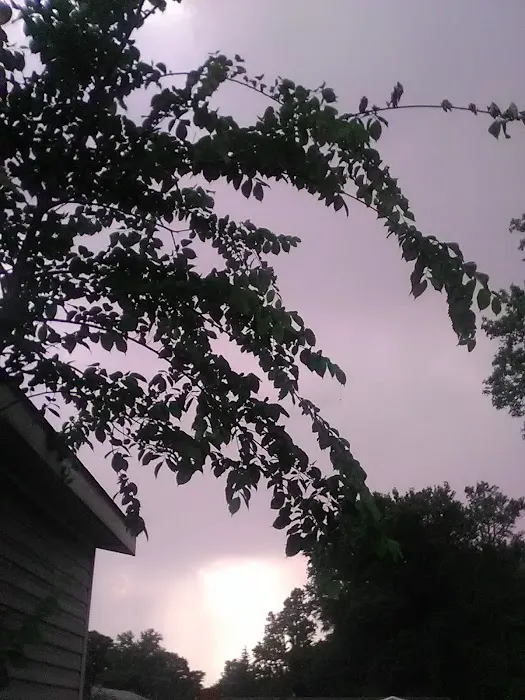 Forest Grove Mobile Home Park Picture 2