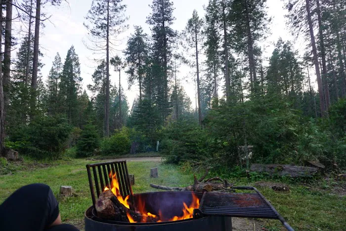 Eshom Campground Picture 1