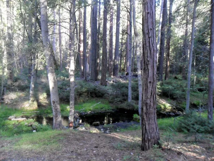 Eshom Campground Picture 5
