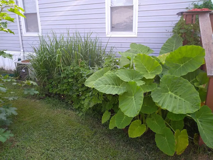 Dover East Estates Picture 6