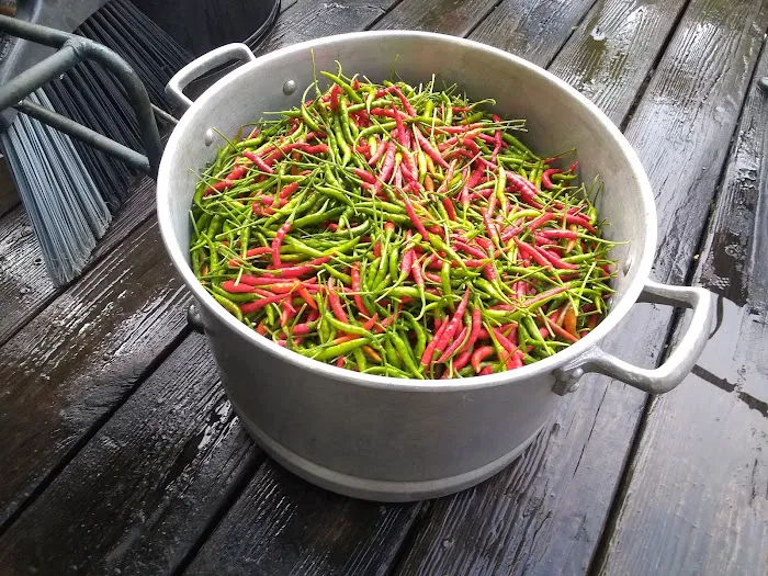 Dover East Estates Picture 9