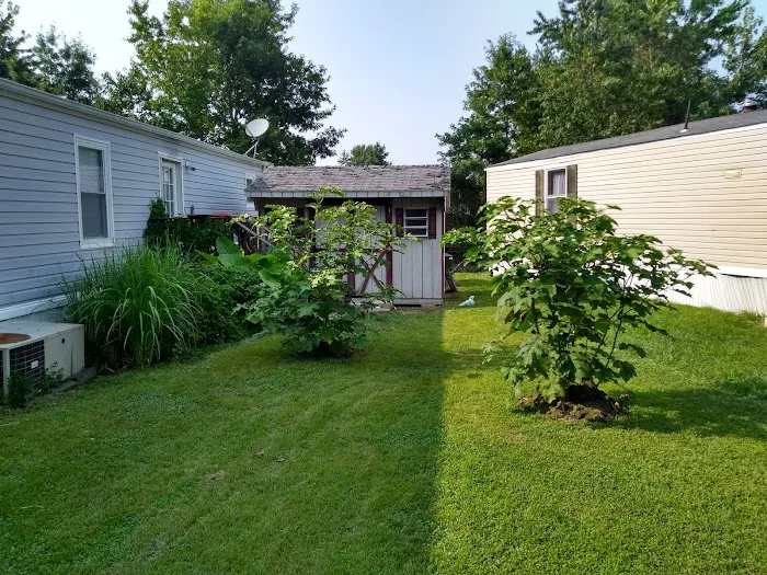 Dover East Estates Picture 8