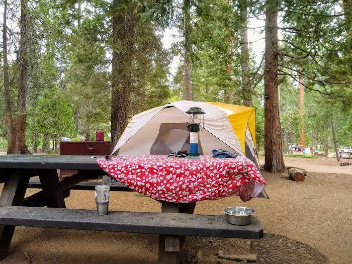 Princess Campground Picture 2