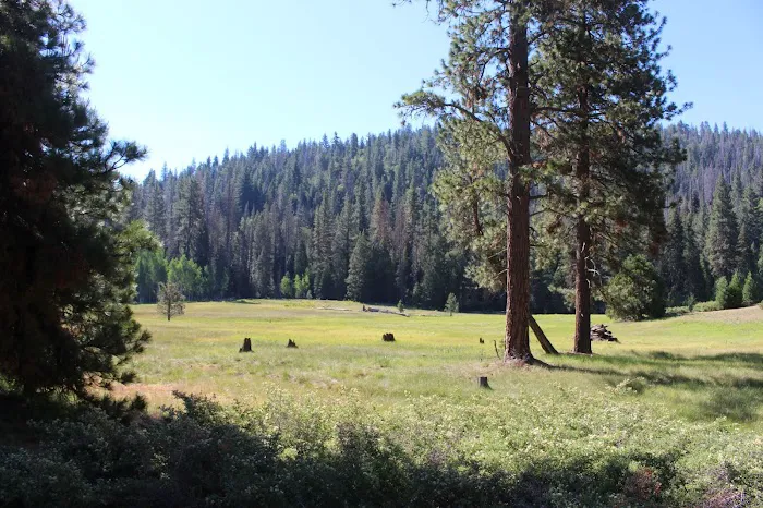 Princess Campground Picture 3