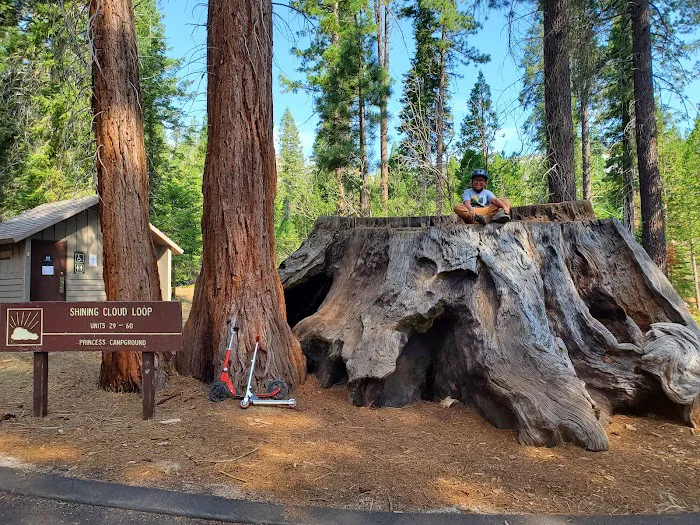 Princess Campground Picture 4