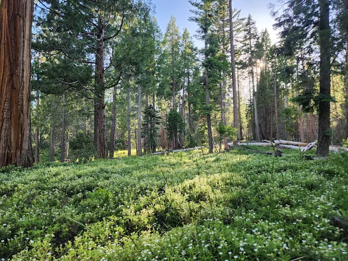 Princess Campground Picture 5