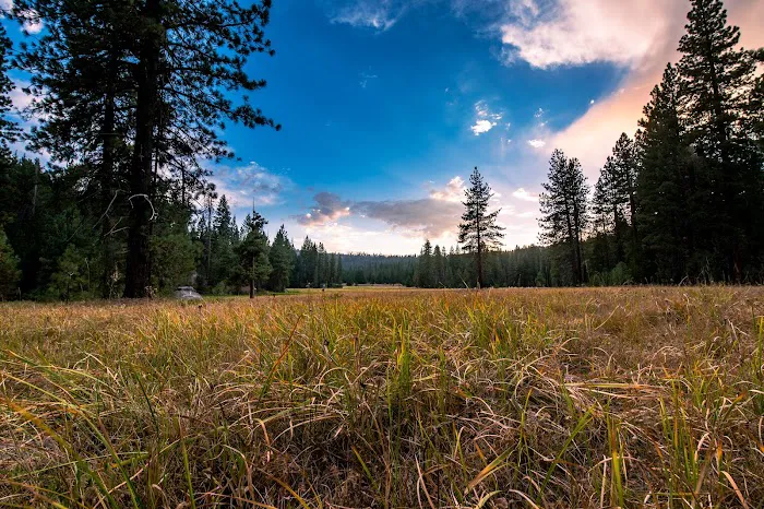 Princess Campground Picture 8