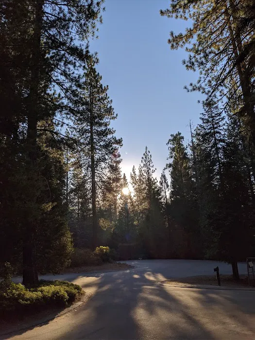 Princess Campground Picture 9