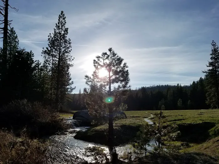 Princess Campground Picture 10