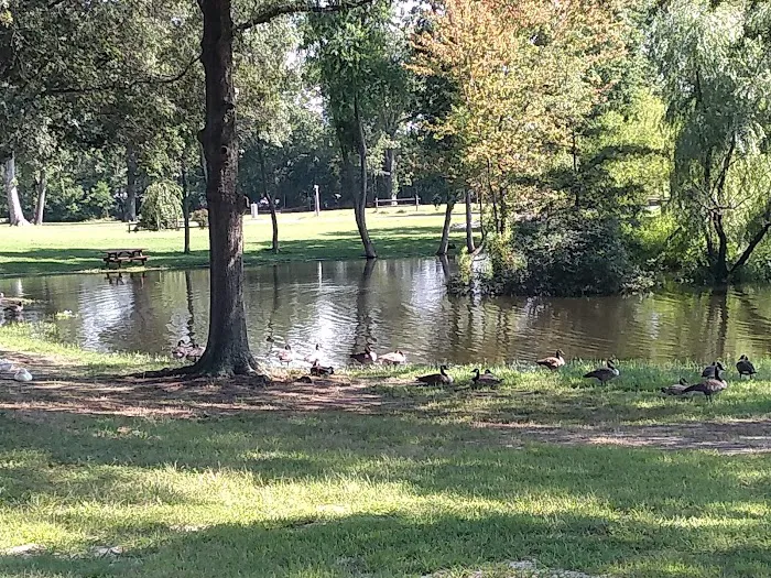 Pine Springs Mobile Home Park Picture 2