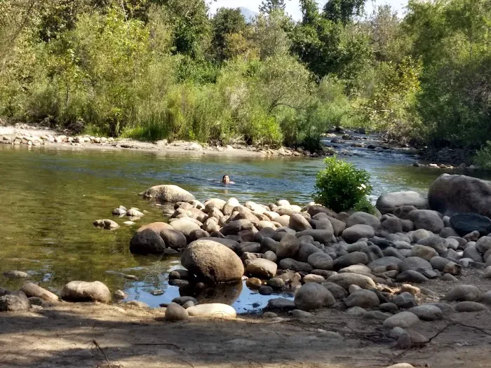 Sequoia Campground & Lodge Picture 5