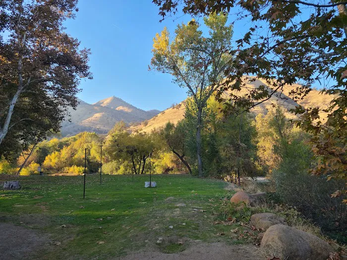 Sequoia Campground & Lodge Picture 8