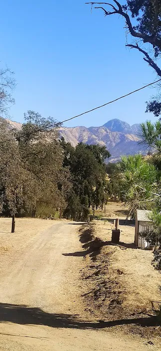 Mountain View Village Picture 1